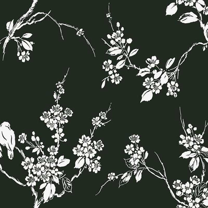 York Imperial Blossoms Branch Black/White Wallpaper SS2589