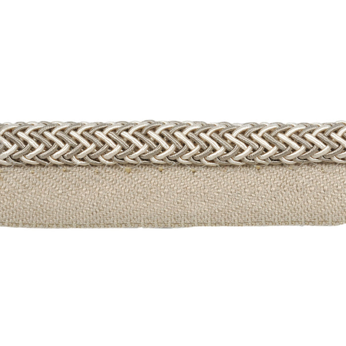 Kravet Design Electric Edge Taupe Trim T30646.106.0