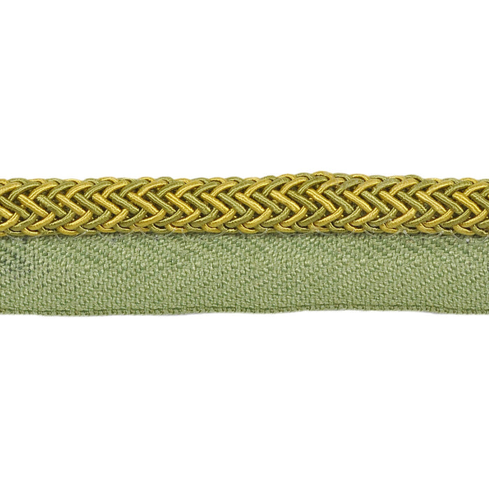 Kravet Design Electric Edge Sour Green Trim T30646.34.0