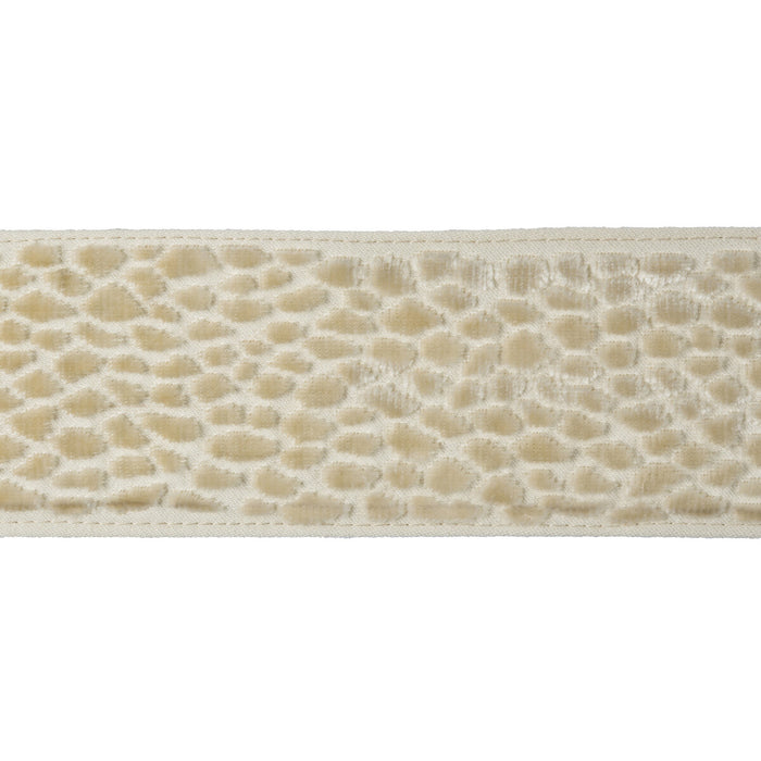 Kravet Design Velvet Pebble Pearl Trim T30746.1.0