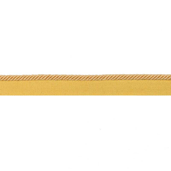 Brunschwig & Fils Picardy Cord Gold Trim T8020105.4.0