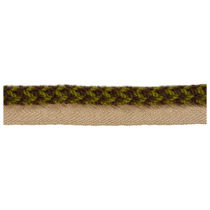 Kravet Design Vine Cord Lichen Trim TA5323.36.0