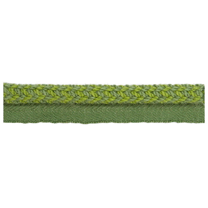 Kravet Design Vine Cord Mojito Trim TA5323.3.0