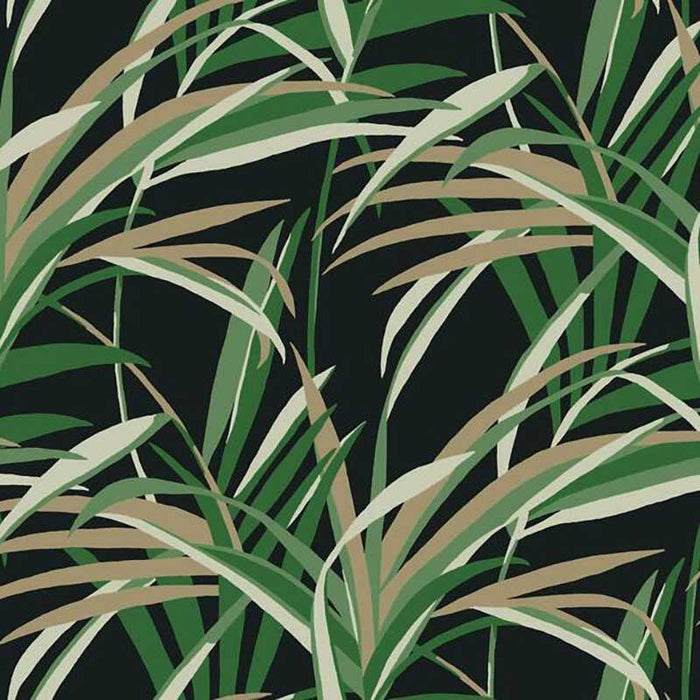 York Tropical Paradise Green/Black Wallpaper TC2606