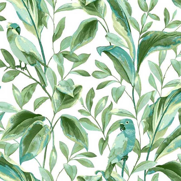 York Tropical Love Birds White/Aqua Wallpaper TC2654