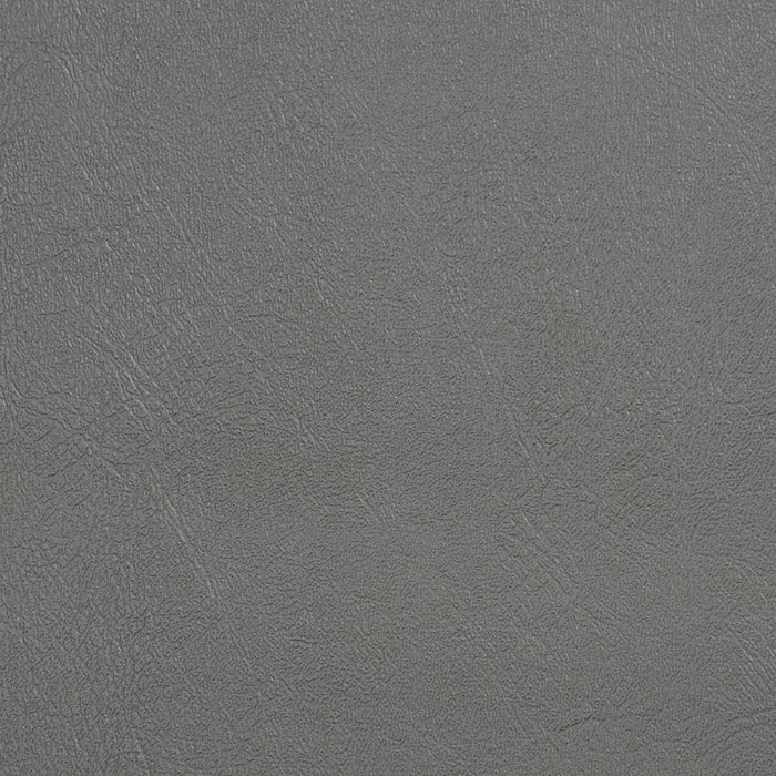 Charlotte Graphite Fabric V123