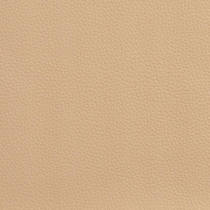 Charlotte Sand Fabric V156