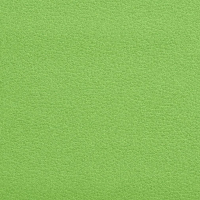 Charlotte Lime Fabric V164