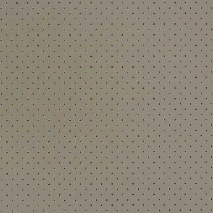 Charlotte Grey Perforated Fabric V410