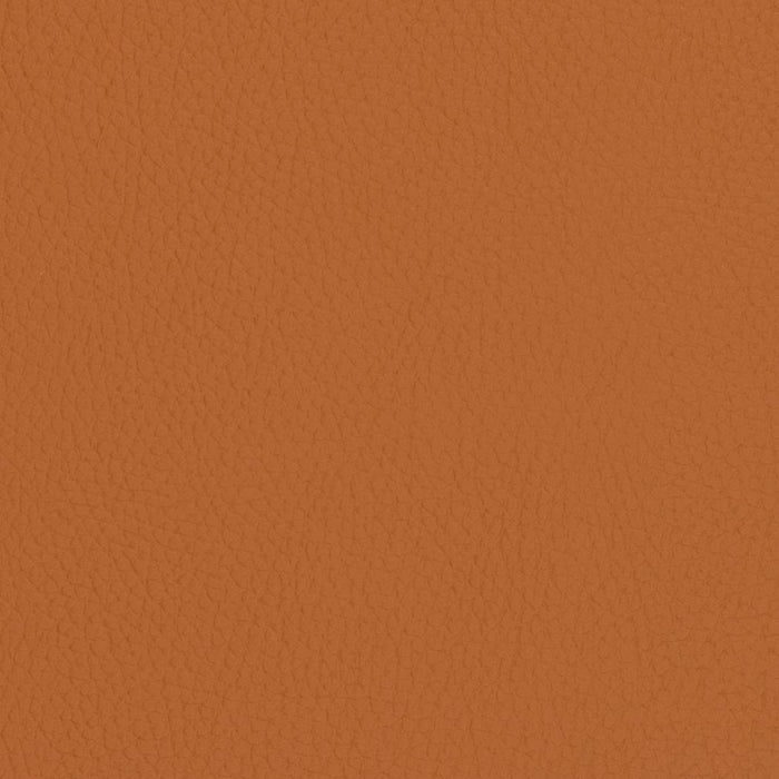 Charlotte Burnt Sienna Fabric V427