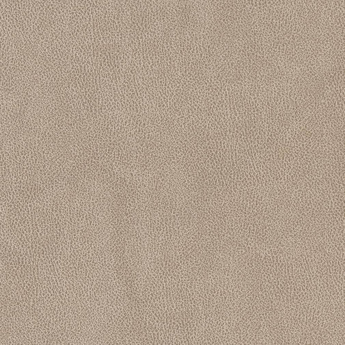 Charlotte Sandstone Fabric V500