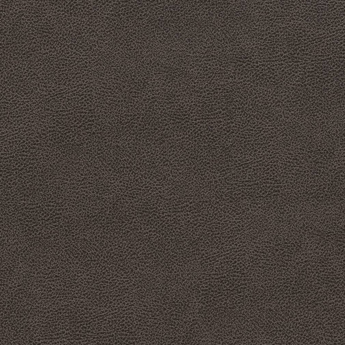 Charlotte Charcoal Fabric V501