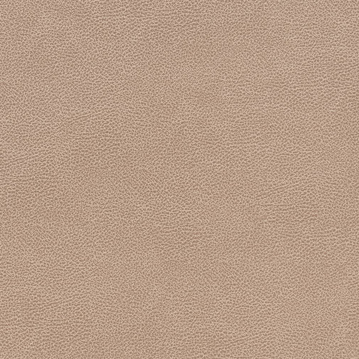 Charlotte Cashew Fabric V505