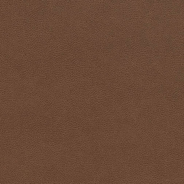 Charlotte Pecan Fabric V509