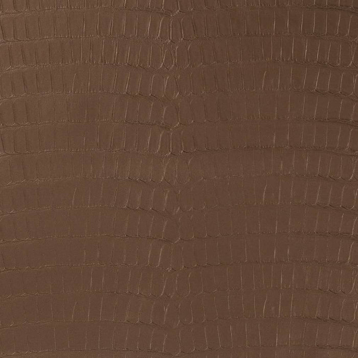 Charlotte Chocolate Fabric V591