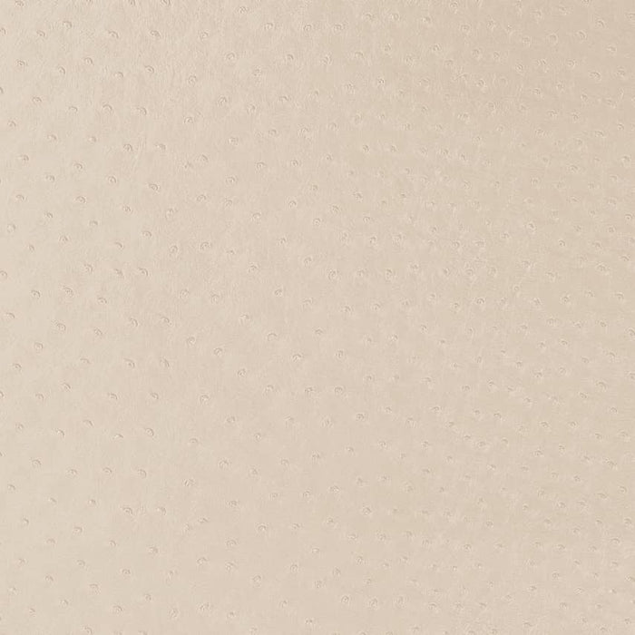 Charlotte Parchment Fabric V596