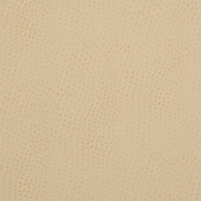 Charlotte Parchment Fabric V626