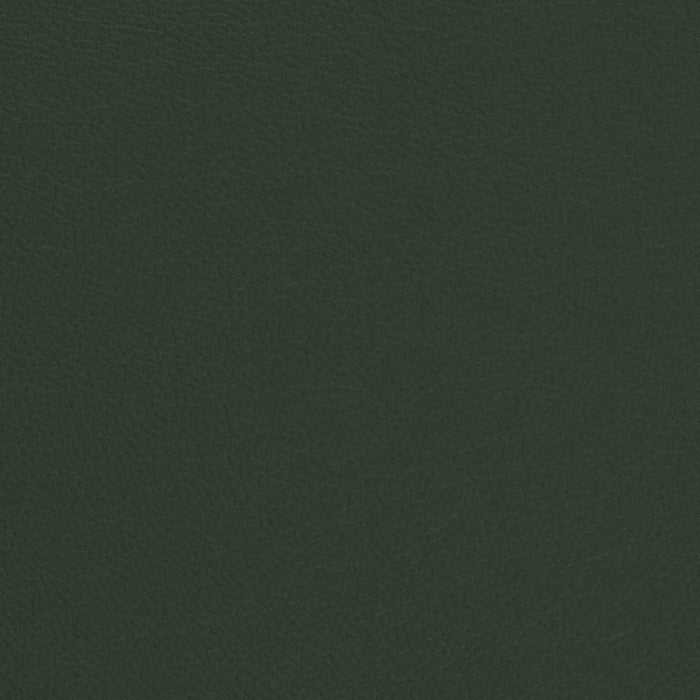 Charlotte Evergreen Fabric V699