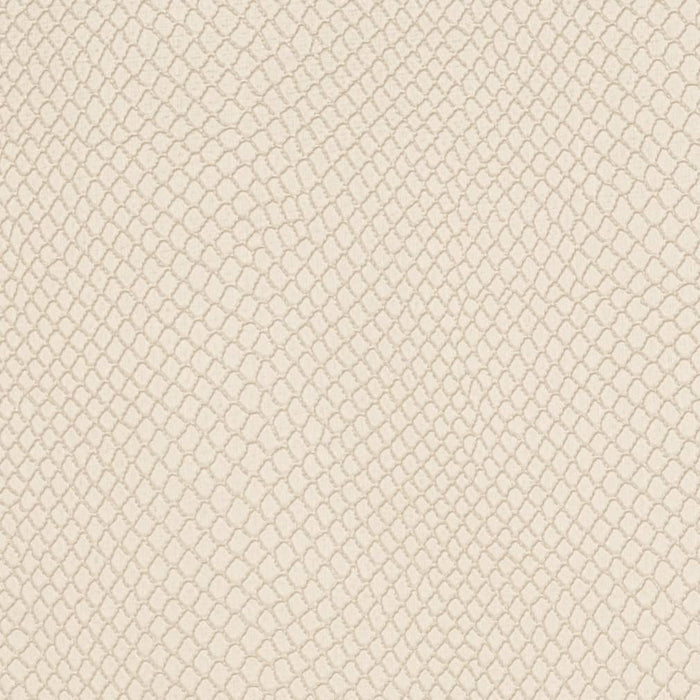 Charlotte Lace Fabric V719