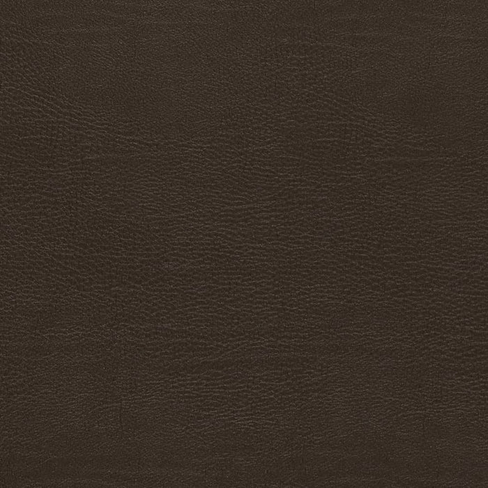 Charlotte Chocolate Fabric V730