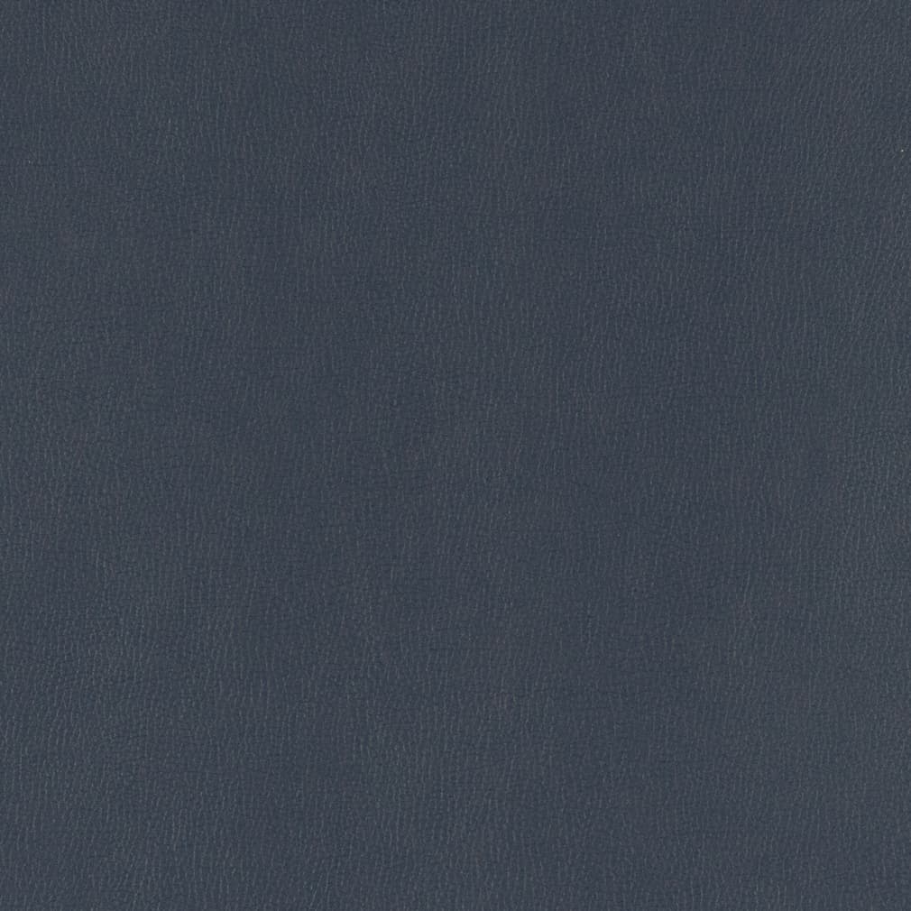 Charlotte Navy Fabric V803