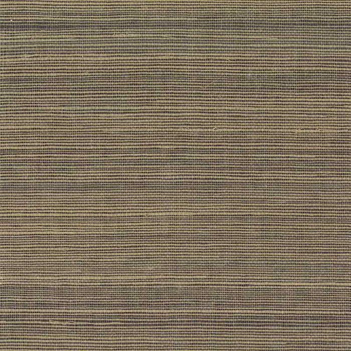 York Multi Grass Brown Wallpaper VG4408