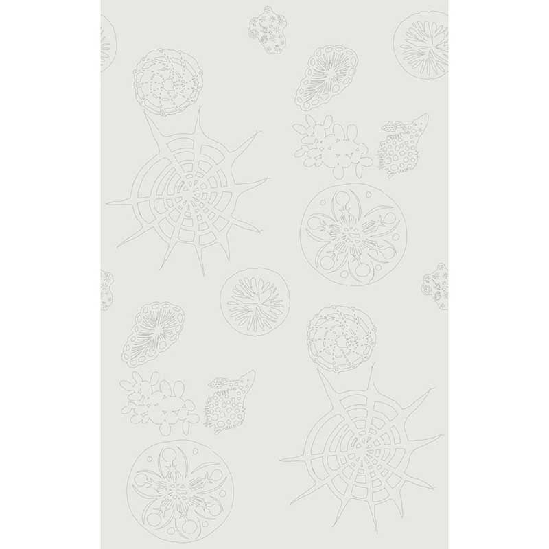 Kravet Couture Telescopic P Mercury Wallpaper W3585.1.0