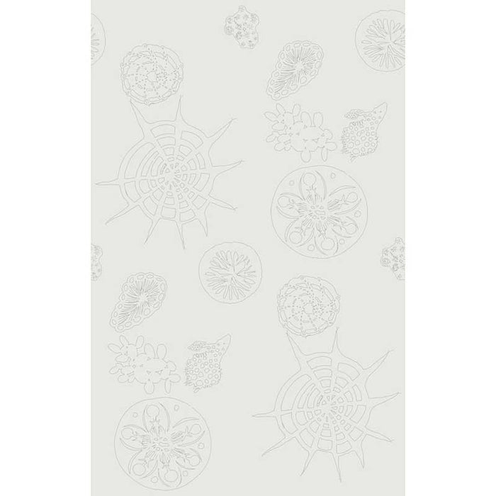 Kravet Couture Telescopic P Mercury Wallpaper W3585.1.0