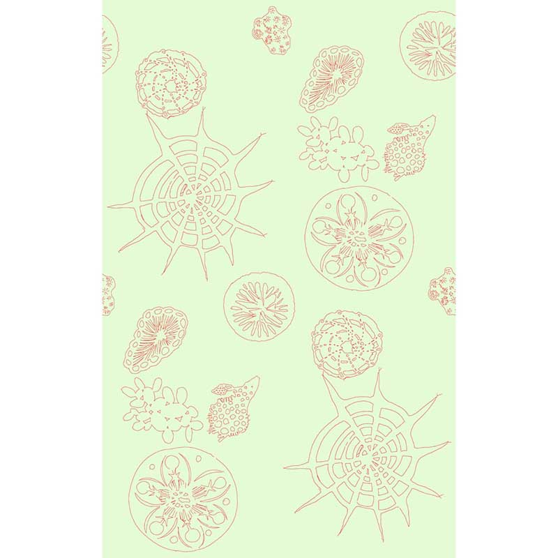 Kravet Couture Telescopic P Coral Sea Wallpaper W3585.319.0