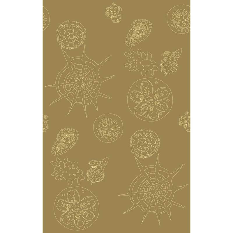 Kravet Couture Telescopic P Sanddollar Wallpaper W3585.616.0