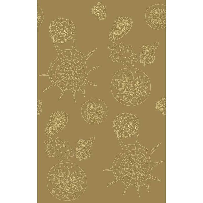 Kravet Couture Telescopic P Sanddollar Wallpaper W3585.616.0