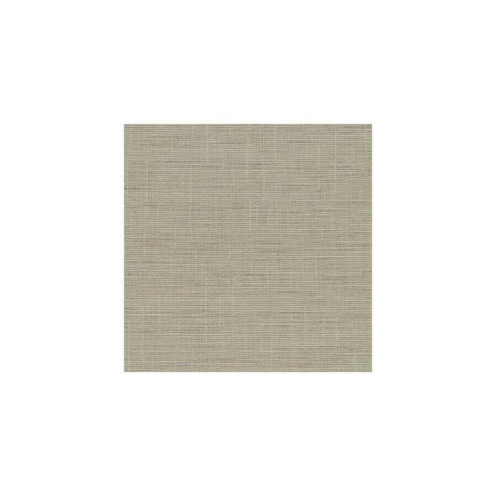 Winfield Thybony Patagonia Straw Wallpaper WHF1619.WT.0