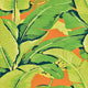 Hinson Hinson Palm Aperol Spritz Wallpaper WHN000244000M