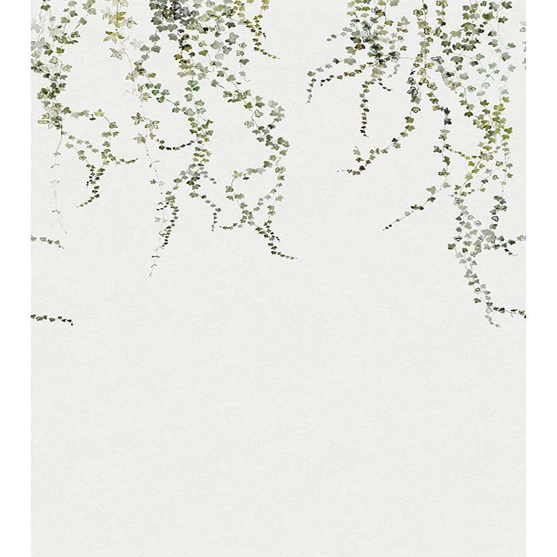 Sandberg Aralia - Mural Moss Green Wallpaper WSB 00040640