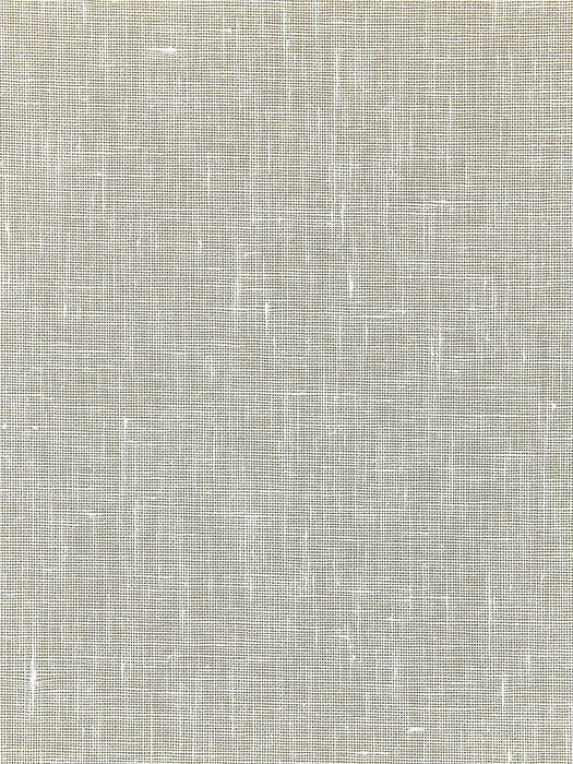 Scalamandre Bandol Solid Oyster Wallpaper WTT661571