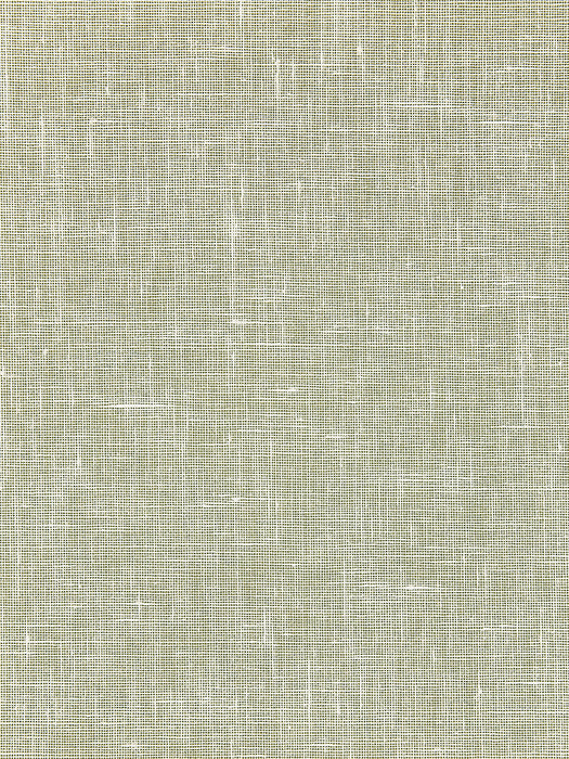 Scalamandre Bandol Solid Oat Wallpaper WTT661575