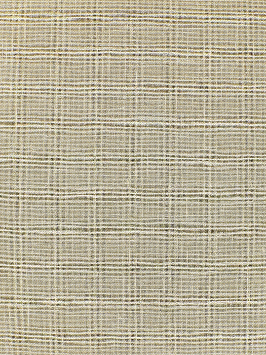 Scalamandre Bandol Metallic Champagne Wallpaper WTT661578