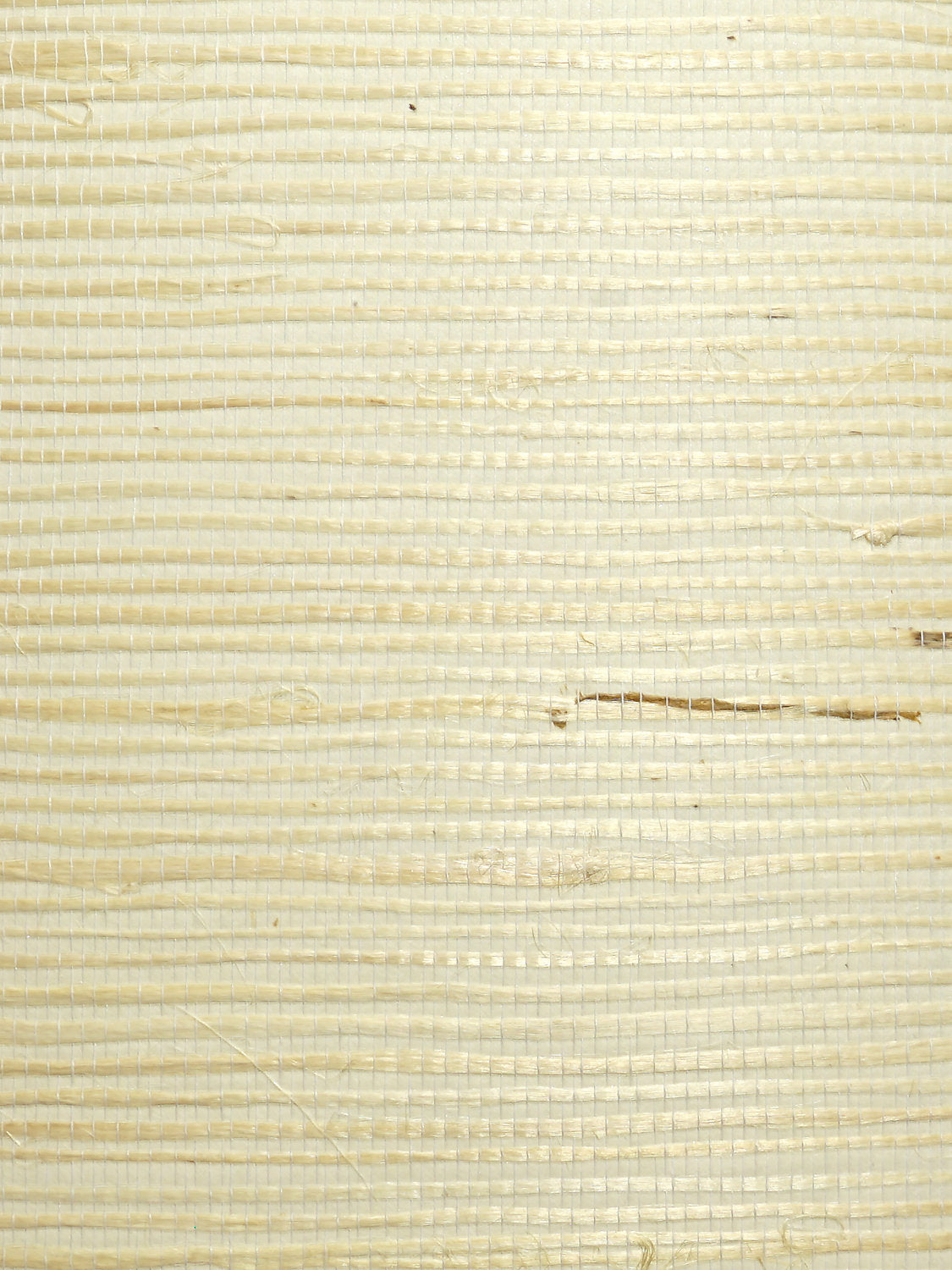 Scalamandre Natural Bleached Jute Ivory Wallpaper WTWWL413