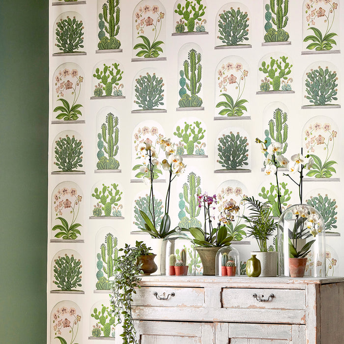 Sanderson Terrariums Botanical Green/Multi 216656 Wallpaper DGLW216656