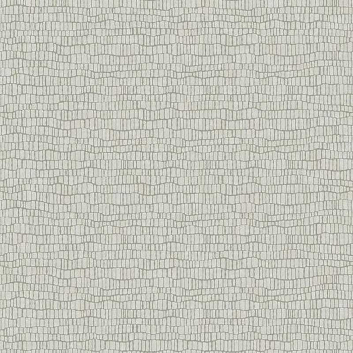 York Skin Lt Grey Wallpaper Y6230401