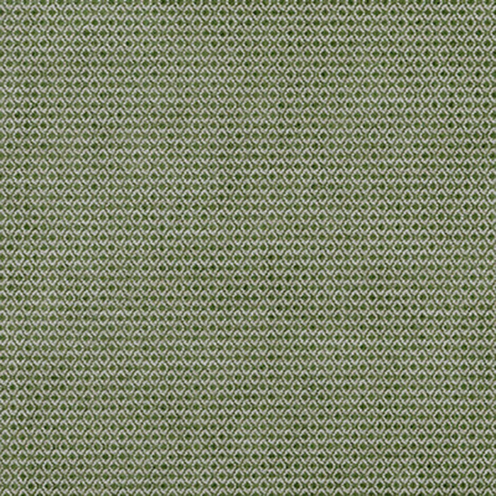 Lee Jofa Cosgrove Moss Fabric BFC-3672.3.0