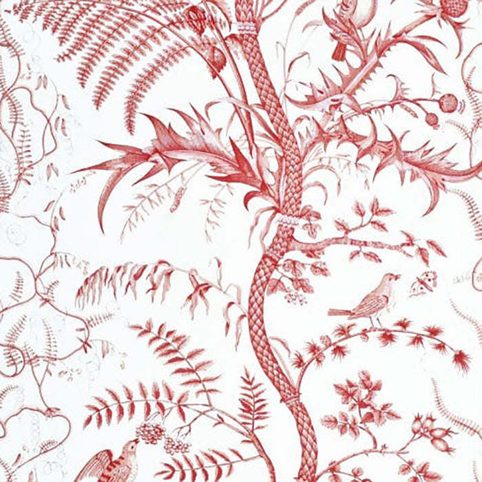 Brunschwig & Fils Bird And Thistle Red Wallpaper BR-69518.166.0