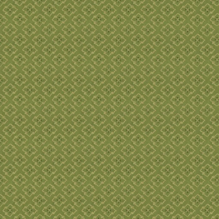 Brunschwig & Fils Creek Figured Woven Green Fabric BR-89709.435.0