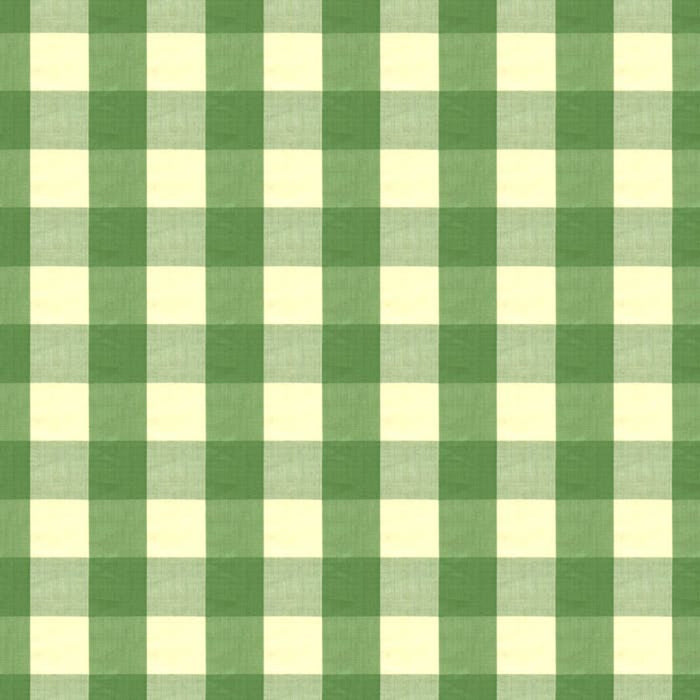 Brunschwig & Fils Exchequer Cotton Check Jade Fabric BR-89725.464.0