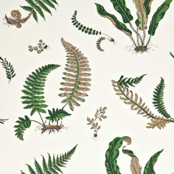 GP & J Baker Ferns Original Green Wallpaper BW45044.1.0