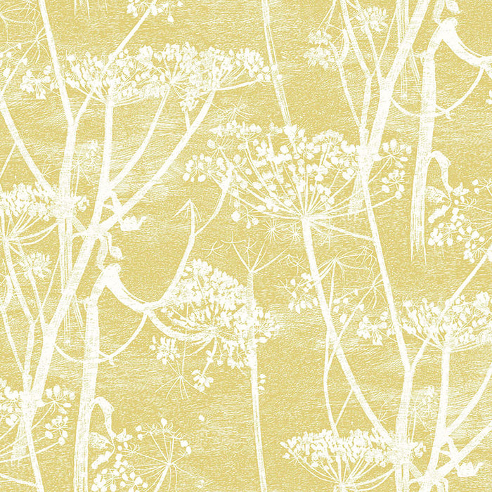 Cole & Son Cow Parsley Wht & Chartre Fabric F111/5020.CS.0