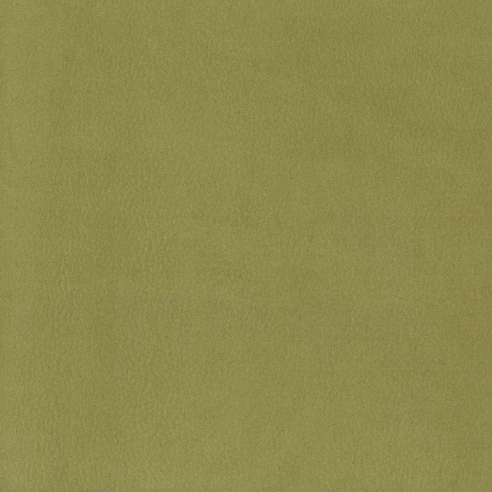 Osborne & Little Westray 23 Fabric F6921-23