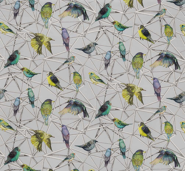 Osborne & Little Aviary 01 Fabric F7011-01