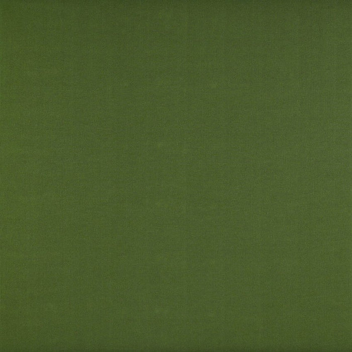 Gaston Y Daniela Recoletos Verde Fabric GDT5203.022.0