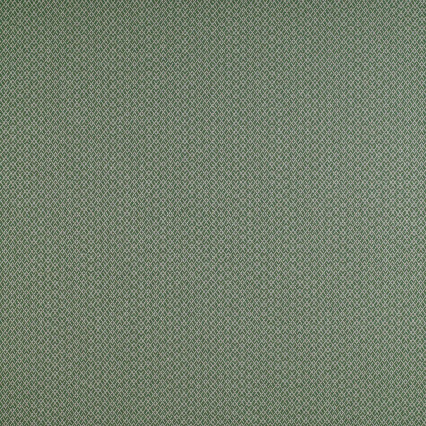 Gaston Y Daniela Chueca Verde Fabric GDT5205.014.0